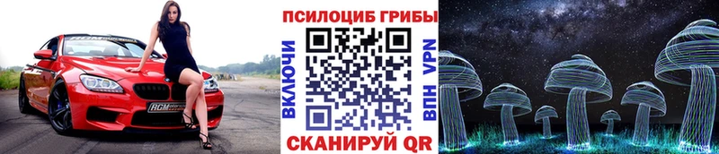 mega сайт  Рошаль  Галлюциногенные грибы Magic Shrooms 