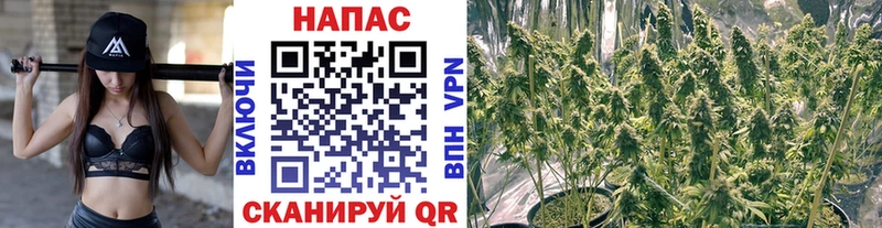 shop клад  Рошаль  Марихуана индика 